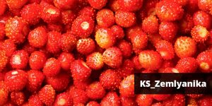 , РАСПРОДАЖА СТОЛЕШНИЦ!